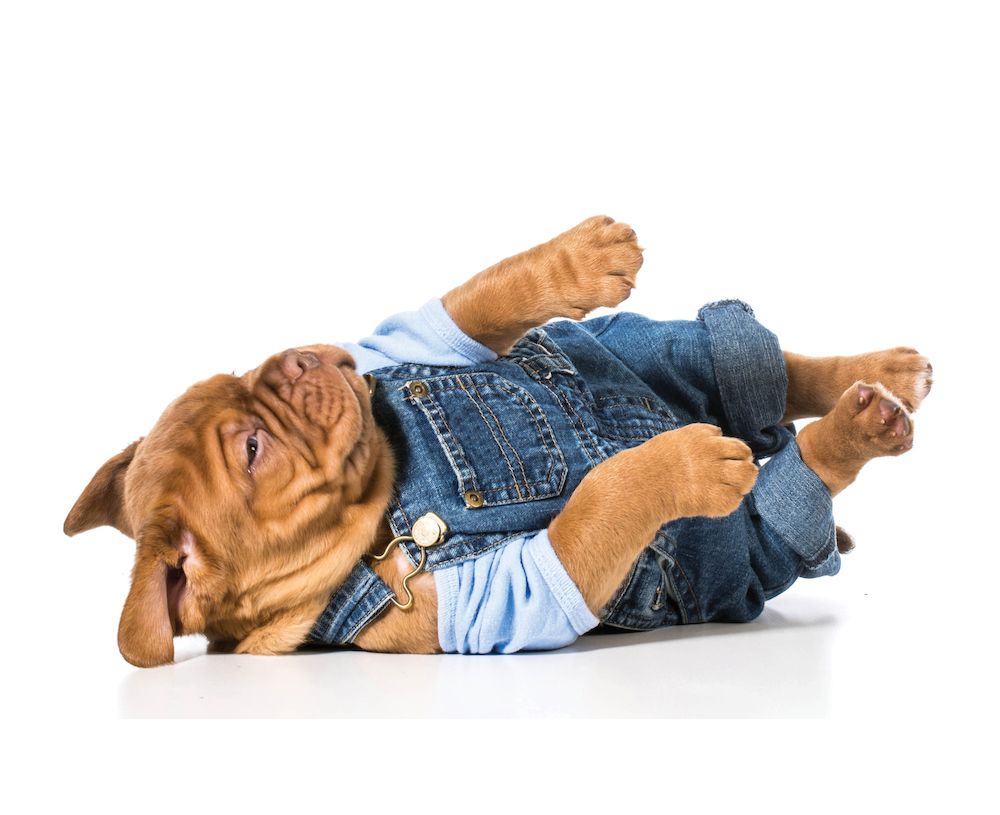 Question of the Week